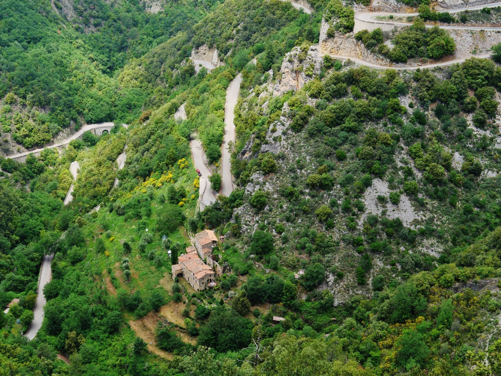 The forested hairpins of Col de Turini